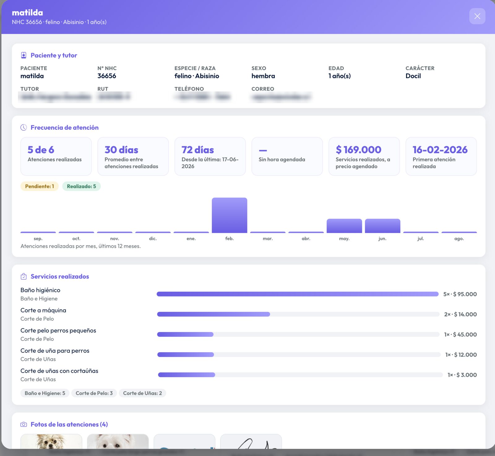 La misma ficha con los datos del tutor, los indicadores de frecuencia de atención, el gráfico de atenciones por mes de los últimos doce y el detalle de los servicios realizados con su cantidad y su total.
