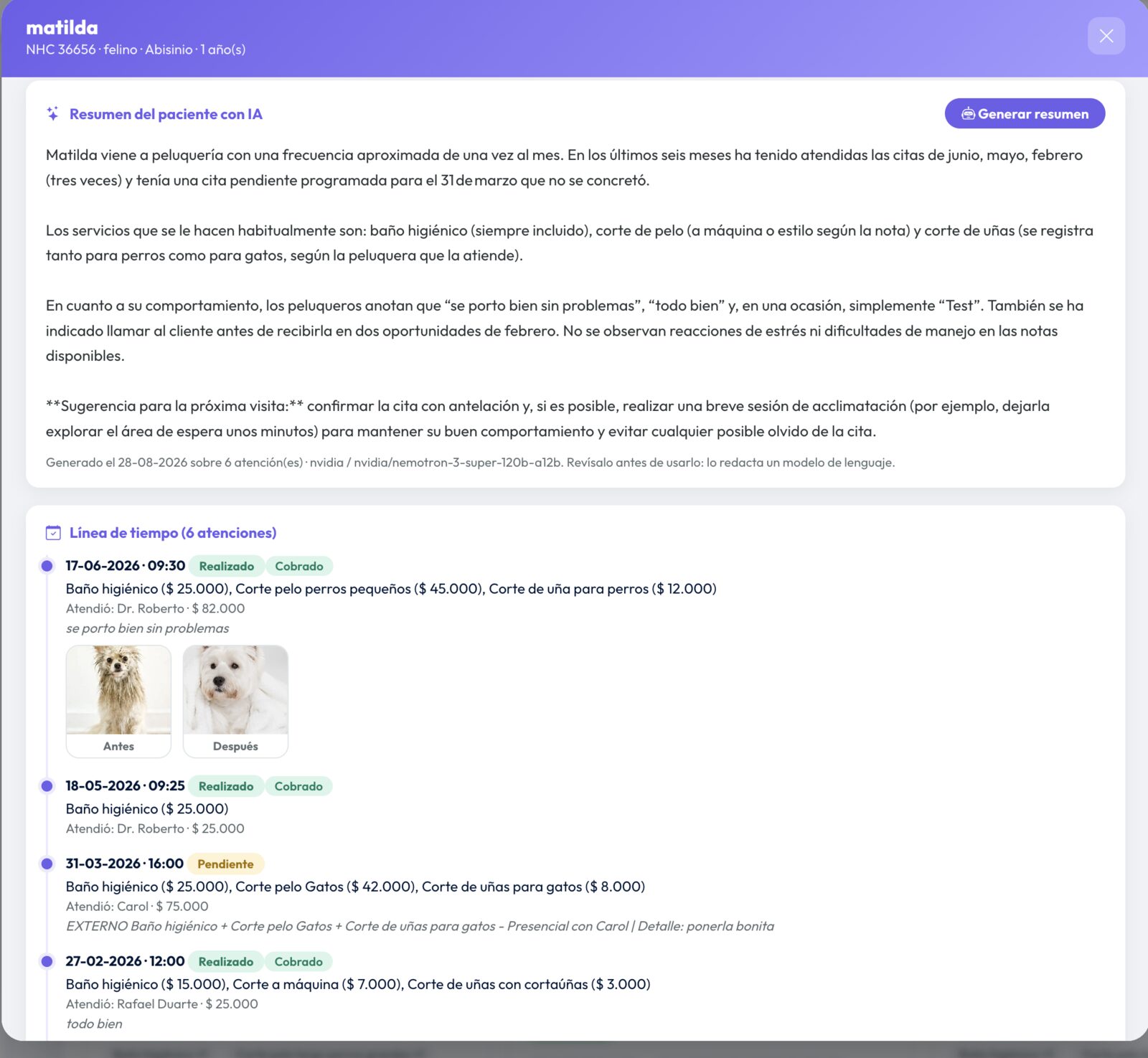 Ficha de una gata con el resumen redactado sobre sus seis atenciones de peluquería y, debajo, la línea de tiempo de cada visita con su fecha, estado, servicios con precio, profesional que atendió, la nota del peluquero y las fotos de antes y después.