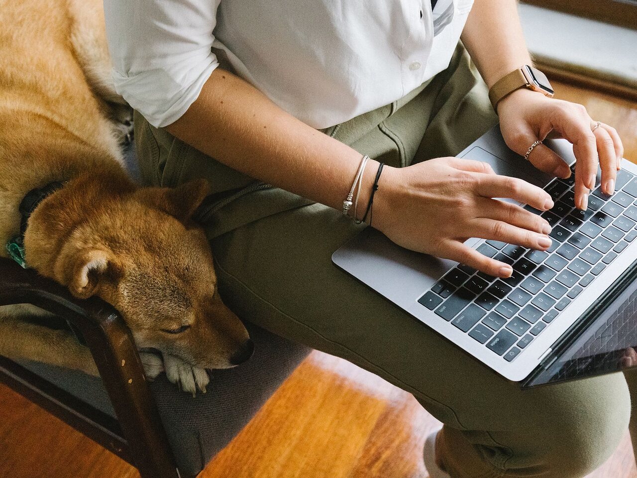 Persona trabajando en un computador portátil con un perro durmiendo al lado.