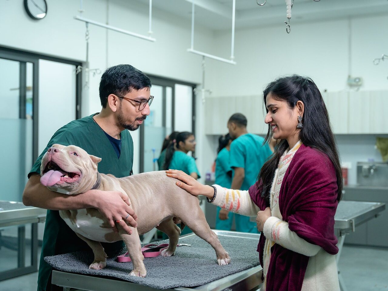 Tutora entregando a su perro al profesional sobre la mesa de recepción, al llegar al local.